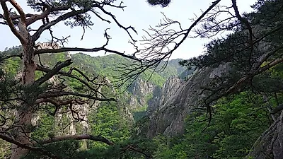 [속초 가볼만한곳]가을의 정취를 느낄 수 있는 '속초여행코스' 추천, '설악문화제'와 '석봉도자기미술관'