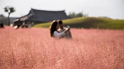 [국내 가을 여행지] 서울 근교 여행지로 제격인 경기도 가볼만한곳 당일치기 여행으로도 좋아