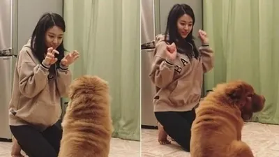 AOA 설현, 반려견과 함께 신나는 댄스 타임 '익스큐즈 미'