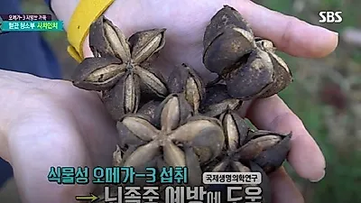 오메가3,오메가6로 염증과 당뇨 물리치는 방법은...'코시니아와 사차인치'