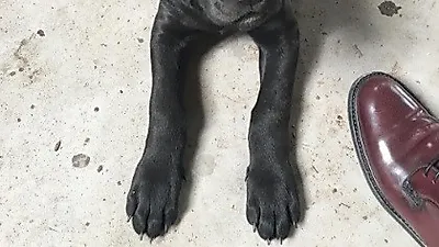 박신혜, 화보같은 자태로 앉은 깜둥이 강아지