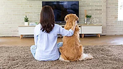 집 안의 영화관 넷플릭스, 넷플릭스 요금제·영화 드라마 추천은?