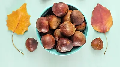 [집에서간단한요리] 가을제철 밤 이용해 '리틀 포레스트' 밤조림 만들기..밤의 효능은?