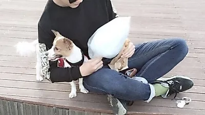 지수 반려견과 화보같은 일상 모습 '찰칵'