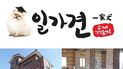 코리아펫푸드, '반려견 수제 사료 및 간식' b2b 온라인 쇼핑몰 오픈