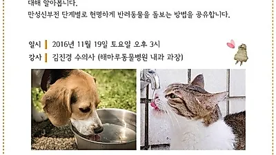 해마루케어센터, '신장질환 환자 현명하게 관리하기' 19일 개최