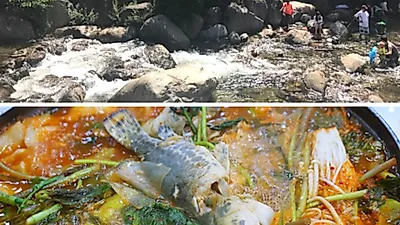 단양 맛집탐방, 고퀄리티 국내산 생물쏘가리의 전국 5대 매운탕집 '그집쏘가리'