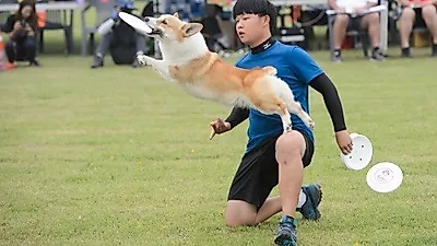 세종시, '반려동물 문화축제' 성료