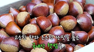 햇밤 1kg 식소다 1티스푼과 병뚜껑 활용해 껍질 쉽게 까는 법