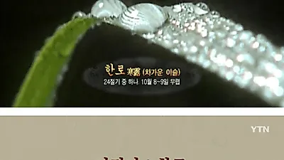 한로, '풀잎마다 찬 이슬이 알알이 맺히기 시작한다' 뜻 눈길 '추어탕 등 각종 풍습 및 속담'은?