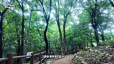 까치산 이름 유래는 과거 가을 들판을 날던 까치떼와 까치집 덕분이다