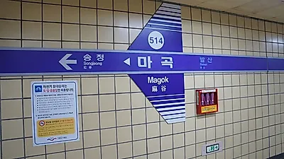 새롭고 깔끔한 마곡 지역의 맛집 퍼레이드, '마곡 맛집' 탐험