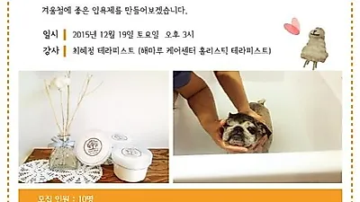 추운 겨울, 반려동물을 위한 '홈스파 입욕제 만들기'