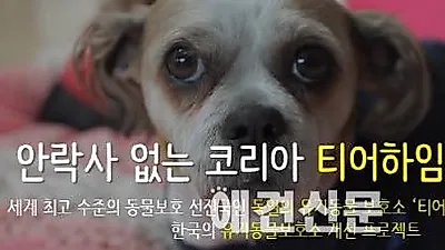 '코리아 티어하임 프로젝트' 크라우드펀딩 진행