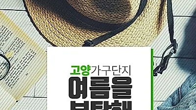 일산 고양가구단지, 신혼가구 입주가구 창고대방출 '여름을 부탁해 BIG SALE' 진행
