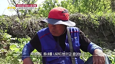 KBS 류수영의 동물티비, 9개월 만에 버려졌던 유기견 호미가 꽃무늬 옷을 입게 된 이유