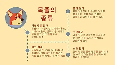 짖음 방지에 효과적? 전기충격 목줄 “잔인하다” 비판 이어져