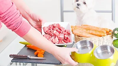 반려동물을 위한 로푸드, 판매량 증가세