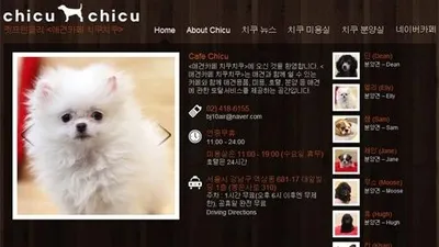 치쿠치쿠 애견카페