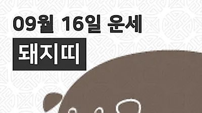 [16일 9월 맞이오늘의운세]돼지(亥)띠 일일운세
