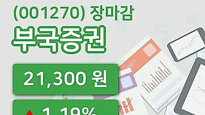 주식마감부국증권 23일 21,300원 마감