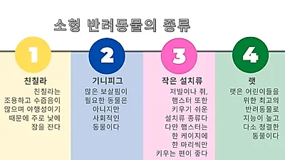 개·고양이 外 반려동물로 적합한 작은 동물 BEST4