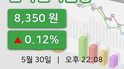 국내주식마감한국전자금융 30일 8,350원 장 마쳐