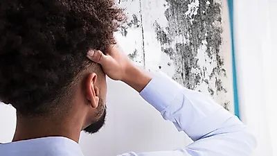 쾌쾌한 냄새 풍기는  '벽지 곰방이', 원인은 무엇?…  셀프 곰팡이 제거 법부터  벽지 곰팡이 방지하는 법까지