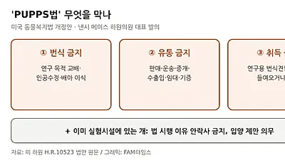 美 하원에 '실험용 개 번식 금지' 법안…위반 시 마리당 최대 4만 달러