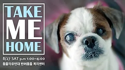 동물자유연대, 무더위 한 번에 날려 줄 입양 행사 진행