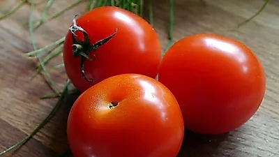 '계속되는 속쓰림'  역류성 식도염 증상…치료에 좋은 음식은 '이것'