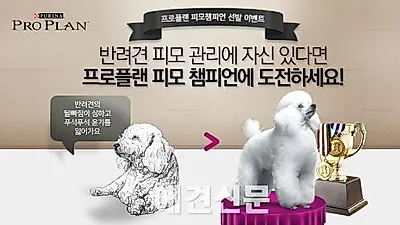 네슬레퓨리나 프로플랜, '2015 건강 챔피언견 어워드' 개최