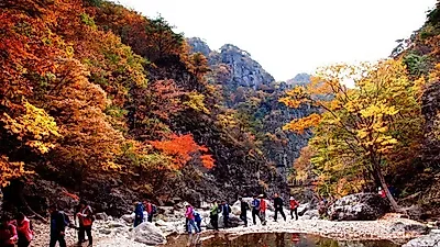 [전국가볼만한곳] 지금은 2018 단풍시기 절정 타이밍! 전국 '단풍 명소' 떠나볼까