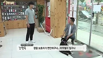 '세상에 나쁜 개는 없다' 가정이 처음이라 불안한 '햇살이' 치료법은
