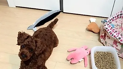 EXID 혜린, 꼬물이 근황 공개 "오구오구 마니커쪄"