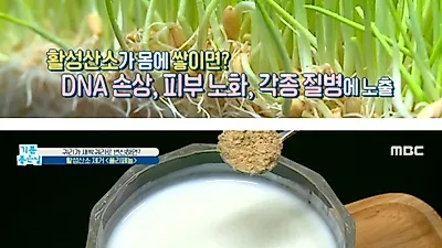 새싹귀리분말 '지방→에너지'로 변환시키고 활성산소 제거까지? 단, 퓨린 등 주의해야 할 부작용 뭐길래?