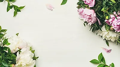 작약과 모란 육안으론 구분 힘들어, 구분하려면 어떻게?