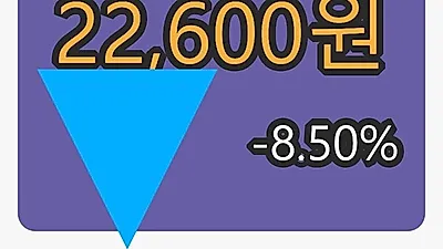 서진시스템 5일 마감가 22,600원 -8.50프로 변동..