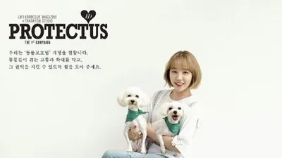 백아연, 동물보호법 개정 독려 "간절히 원합니다"