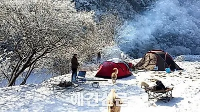 '반려견과 떠나요' 블로거 개난리의 눈꽃캠핑