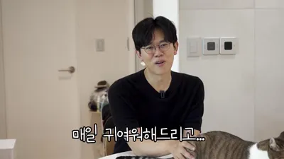 고양이가 집사 무릎에 올라오는 5가지 이유와 무릎냥이 만드는 법