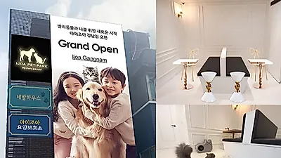 강아지·고양이파양 안락사 없는 요양보호소 '아이조아' 주목