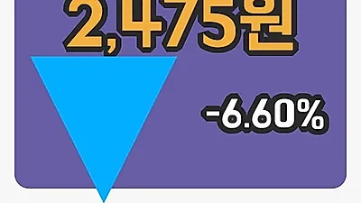 주식마감티에이치엔 11일 2,475원 마감