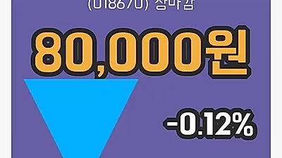 국내주식마감SK가스 8일 80,000원 장 마쳐...