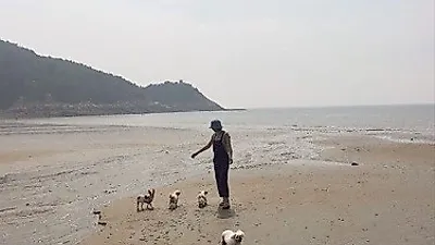 조윤희, 바닷가에서 강아지들과 평화로운 시간
