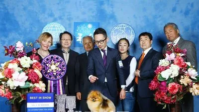 한국애견연맹 올해 첫 'FCI 국제 도그쇼' 강원대학교에서 개최