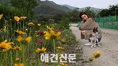 대표애견연예인 안혜경-양선일, '단짝'서 반려견들과 환상호흡 과시
