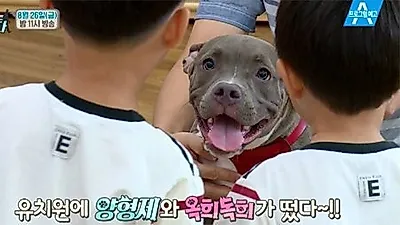 '개밥주는남자' 옥희독희에게 쏠린 카메라…마술사 최현우 '분량 위협'