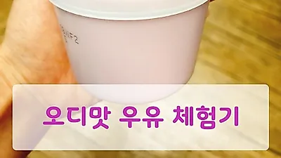 봄 한정상품으로 알려진 빙그레 오디맛 우유 맛보다