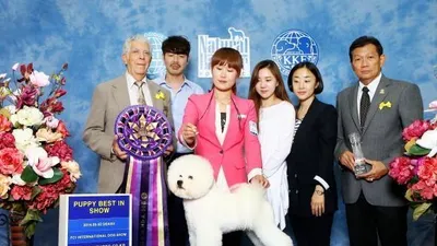 올 해 최초 빅쇼 '2014년 대구 FCI 국제도그쇼' 엑스코에서 역대 최대 규모 개최